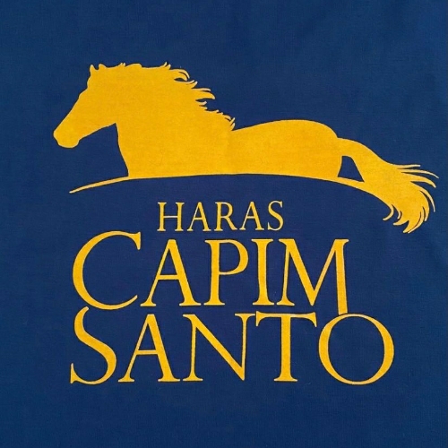 Haras -Capim- Santo-solucoes-web Haras -Capim- Santo-solucoes-web