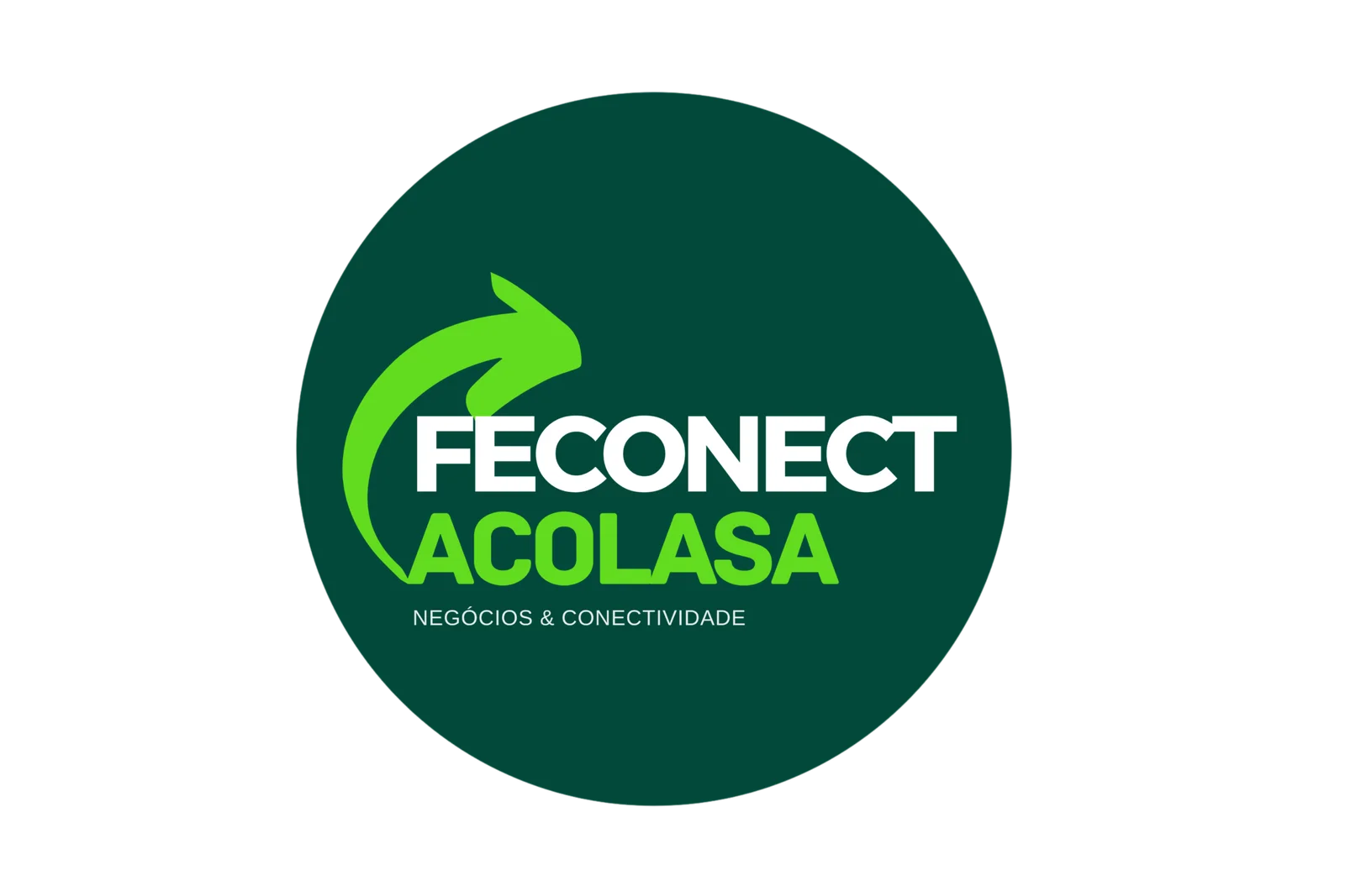 Logo-Feconect-2 Feconect-soluções-web